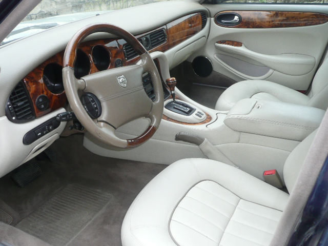 Jaguary 017.JPG
