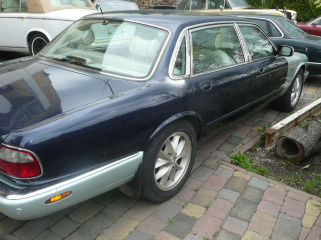 Jaguary 025.JPG