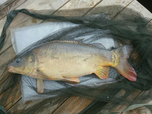 DSC_0722~2~2.jpg