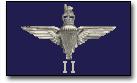 2_PARA_Banner.JPG