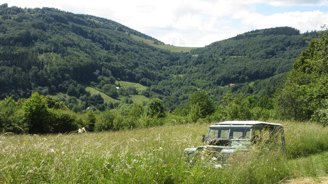 IMG_6017.JPG