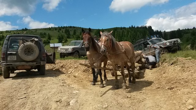 20140623_140228.jpg