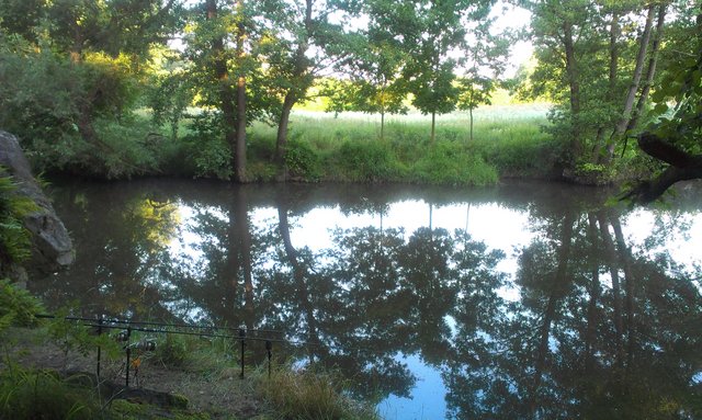 IMAG0091.jpg