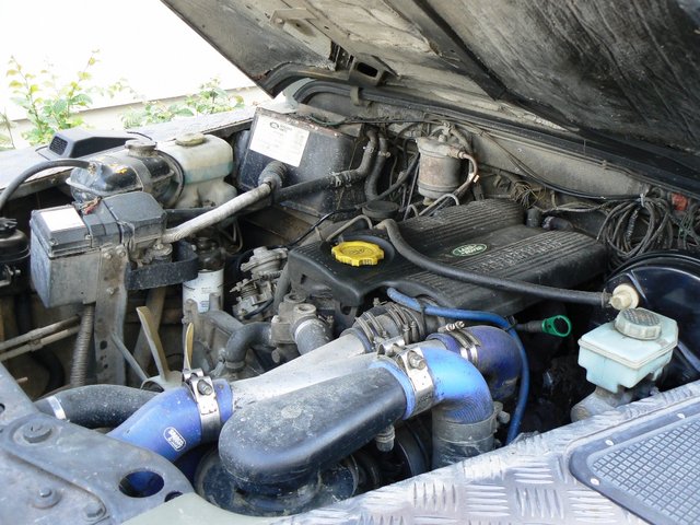 P1130513.JPG