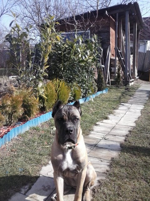 CAM00209.jpg
