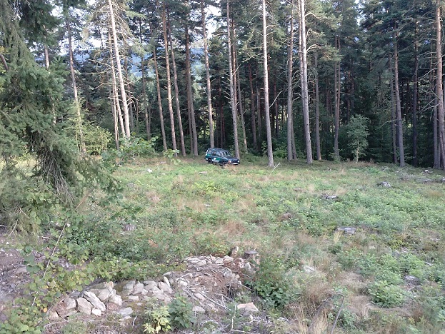 CAM00095.jpg