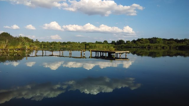 Pinka srpen 2014.jpg