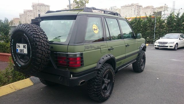 Rangie green.jpg