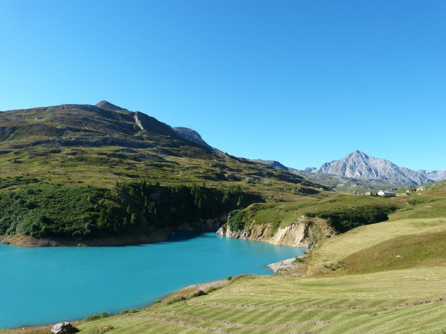 P1220894.jpg