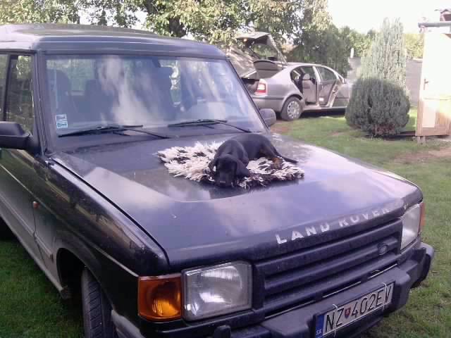 Land rover.jpg