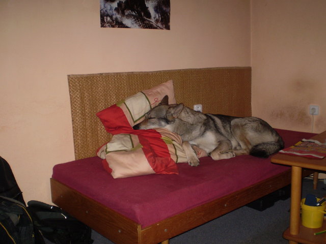 P4190002.JPG