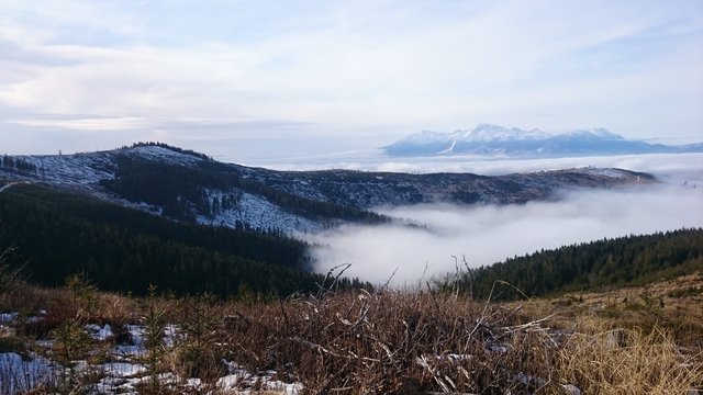DSC_0326.JPG