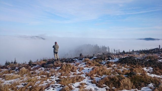 DSC_0318.JPG