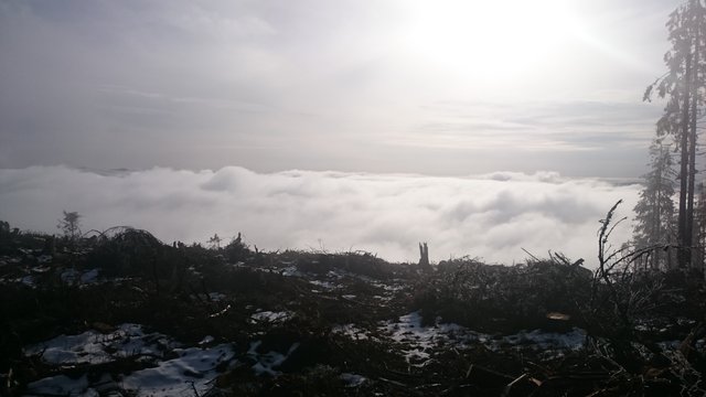 DSC_0310.JPG