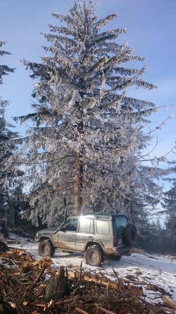 DSC_0312.JPG