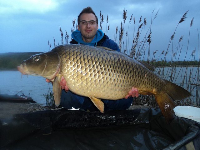 kapr 16 kg 2.jpg