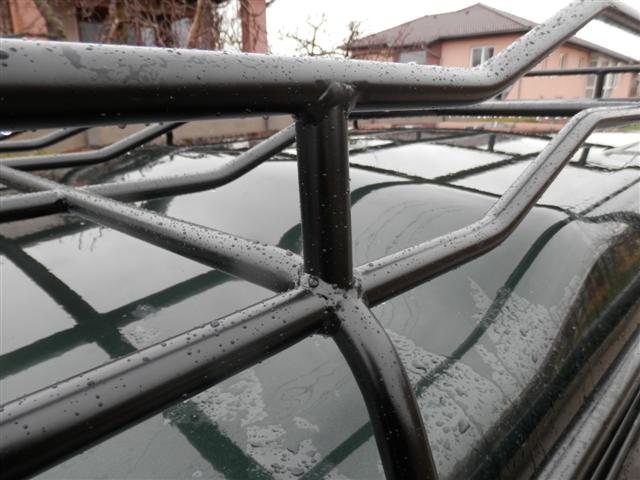 P4022333 (Small).JPG