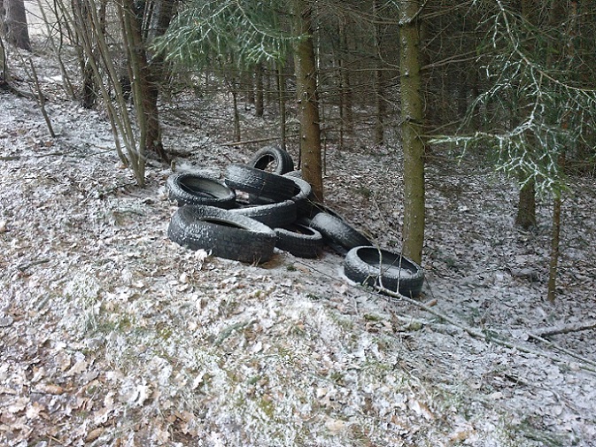 CAM00195.jpg