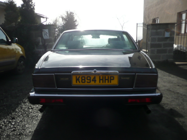 Insignia doma 004.JPG