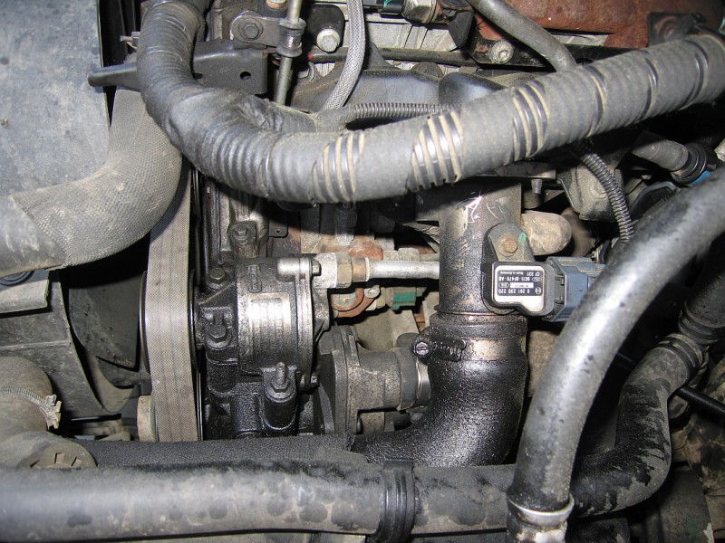 IMG_1252 pumpy zhora_up.jpg