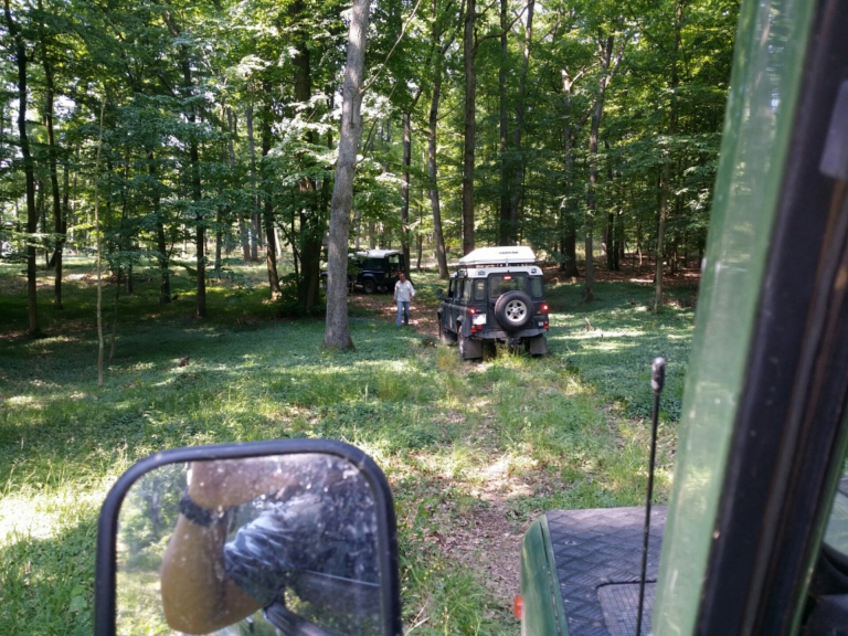 20150613_171340.jpeg