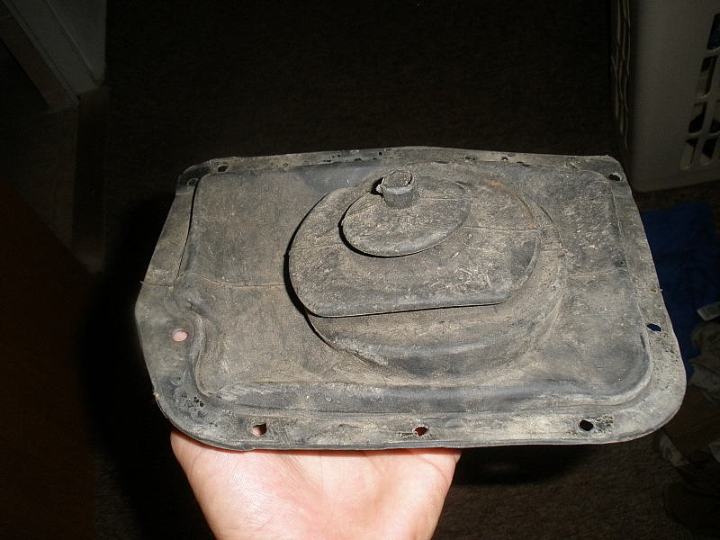 P1010041.jpg