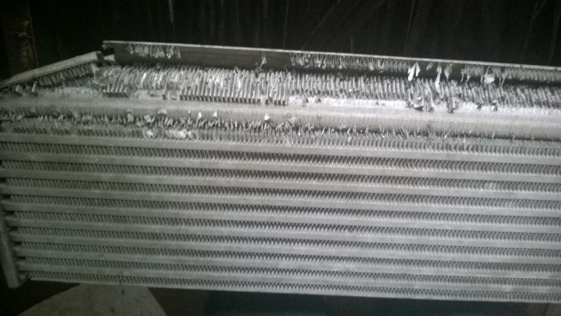 WP_20150818_001.jpg