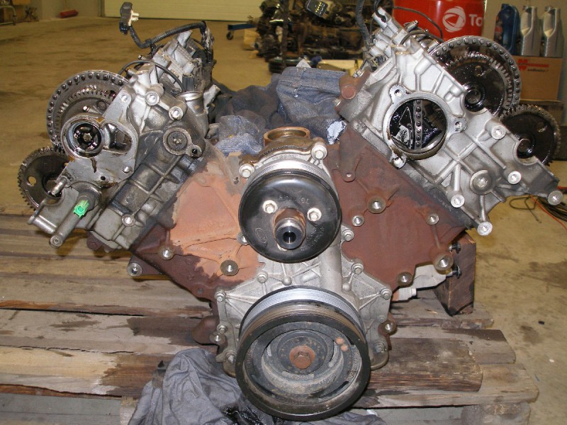 roz2.JPG (343.08 KiB) Zobrazeno 4764 x roz2.JPG