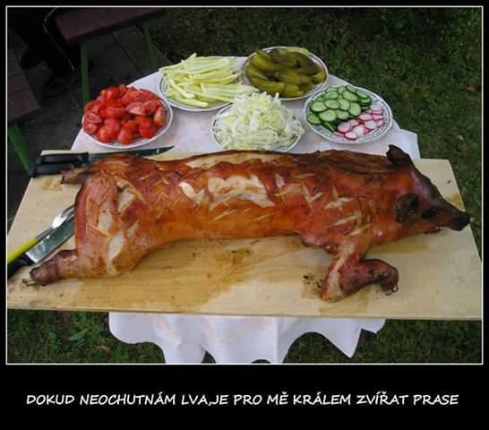 prase.jpg
