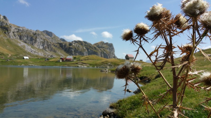 20150916_134851.jpg