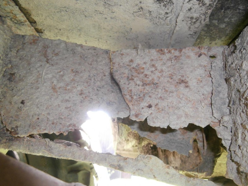 zP9050448.JPG