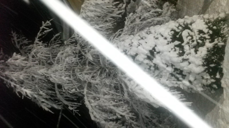 20160210_223003.jpg