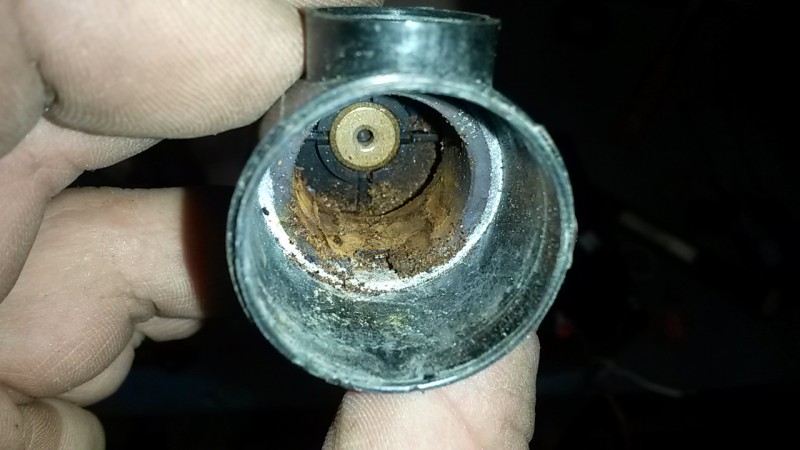 20160324_161009.jpg