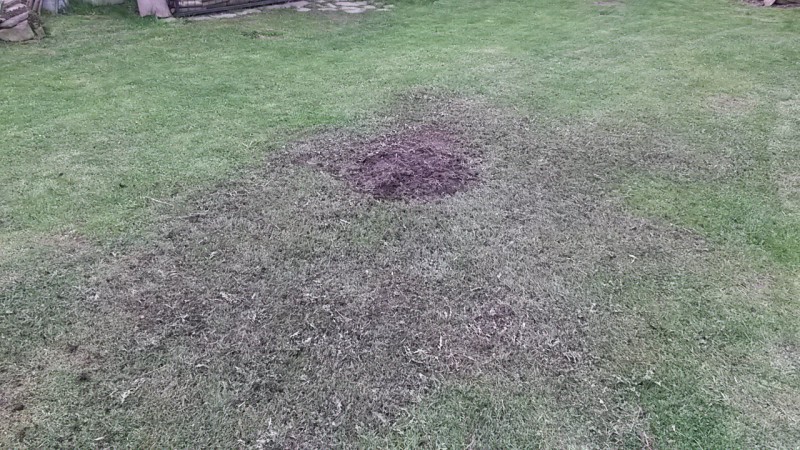 20160423_165057.jpg