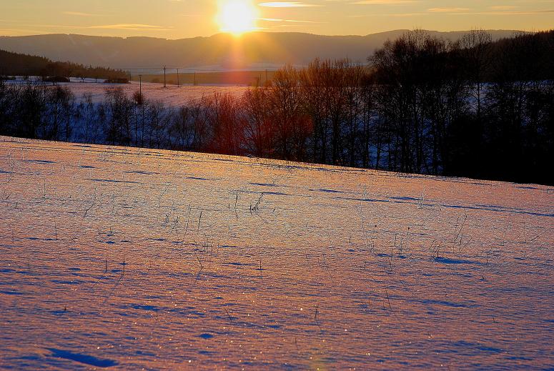 DSC_0356.JPG