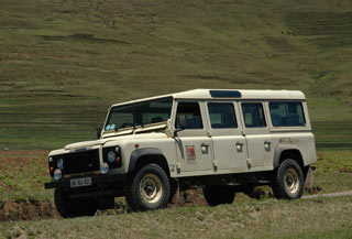 D147_1.jpg