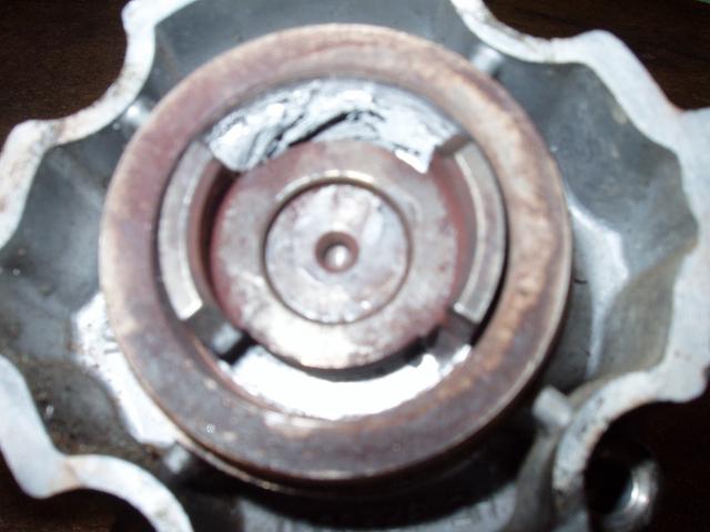 P4140033.JPG