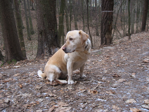 Beska.jpg