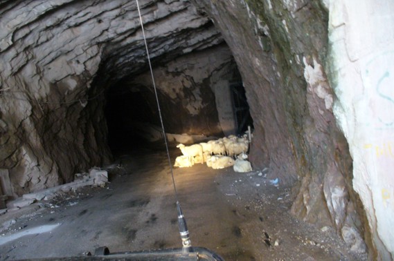 Tunel.jpg